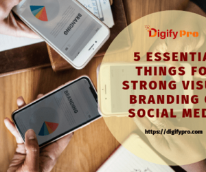 5-Essential-Things-For-Strong-Visual-Branding-on-Social-Media