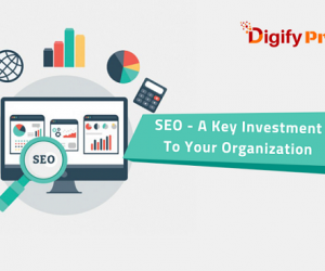 SEO-A-Key-Investment-To-Your-Organization